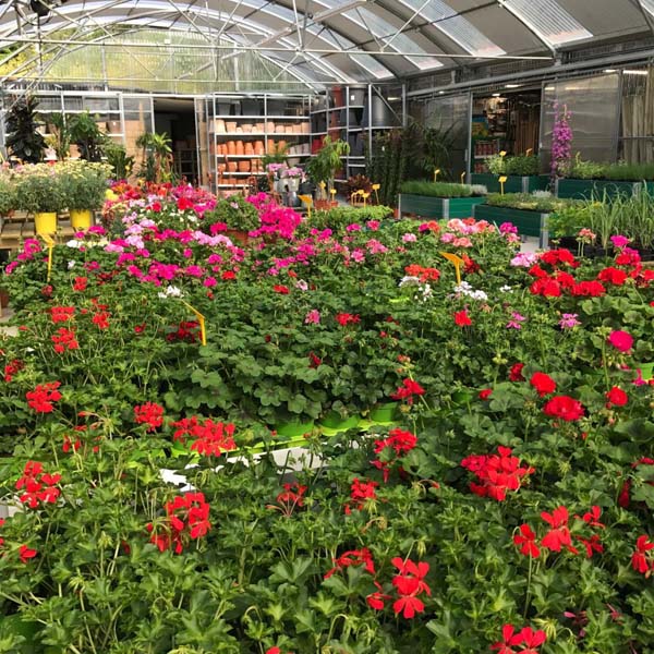 Produit du jardin Ajaccio