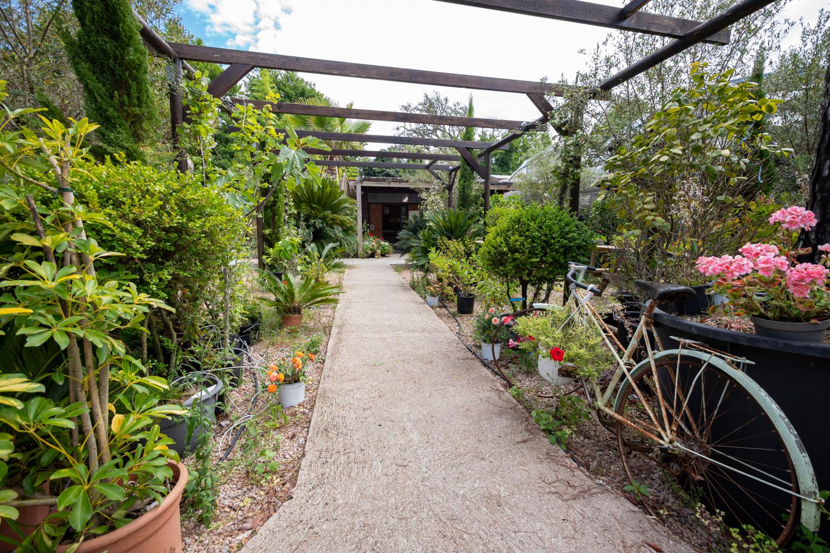 Vente de plantes Ajaccio