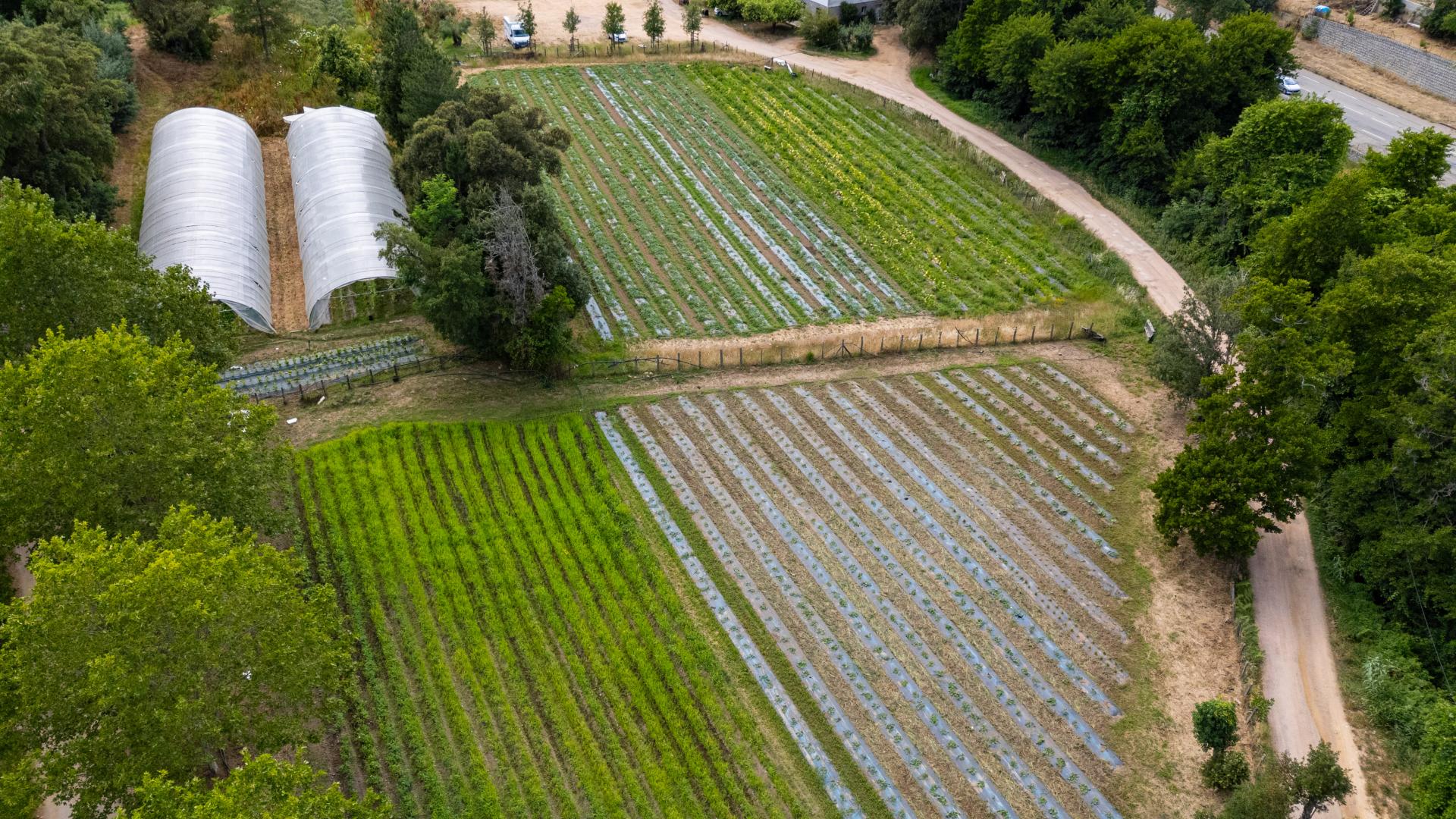 Agriculteur biologique Ajaccio