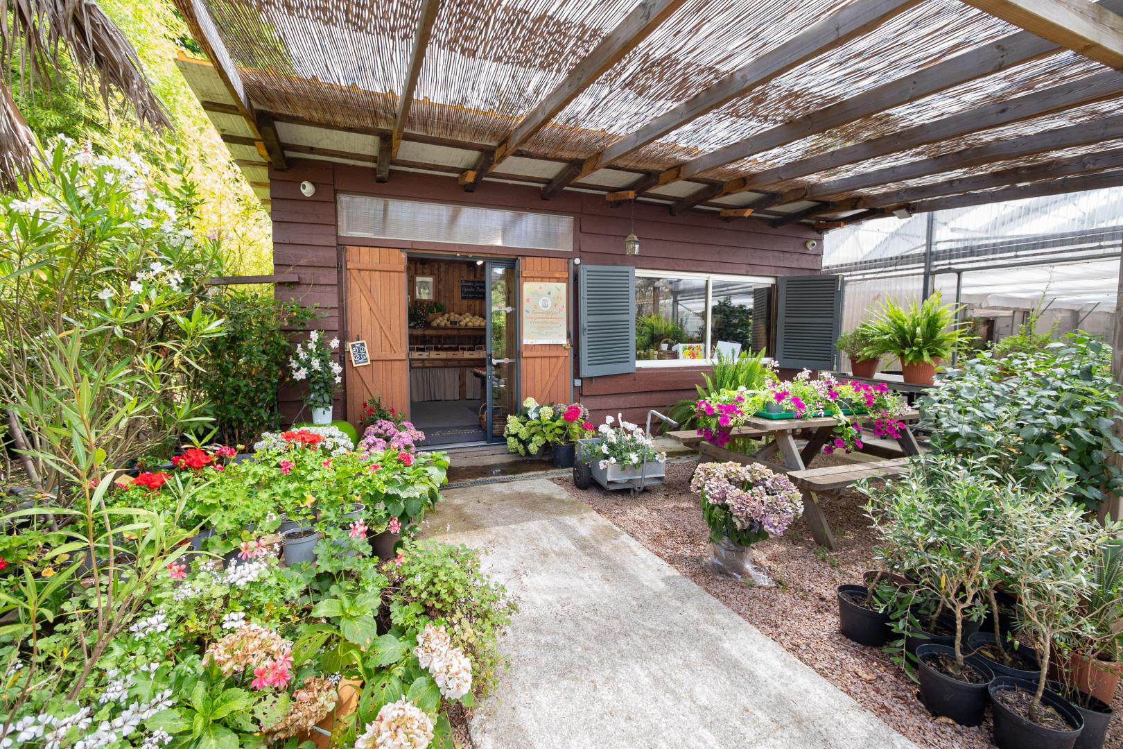Outillage de jardin Ajaccio