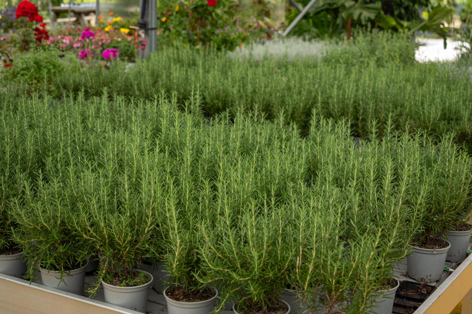 Vente de produits agricoles Ajaccio